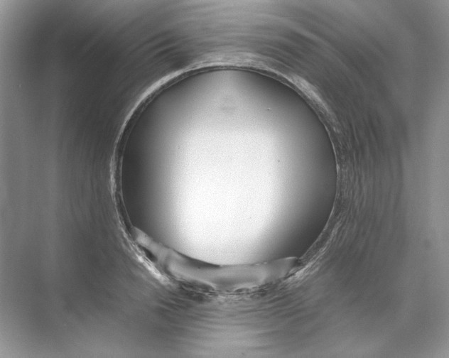 X0000074330846200609230050