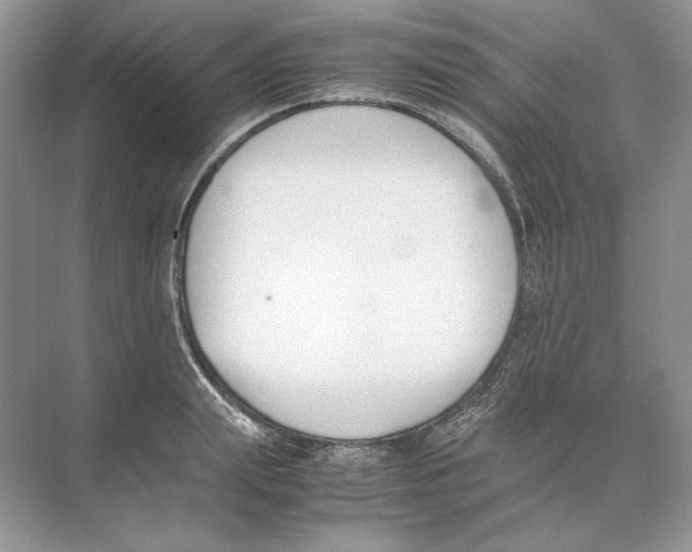 X0000074330847200609230050