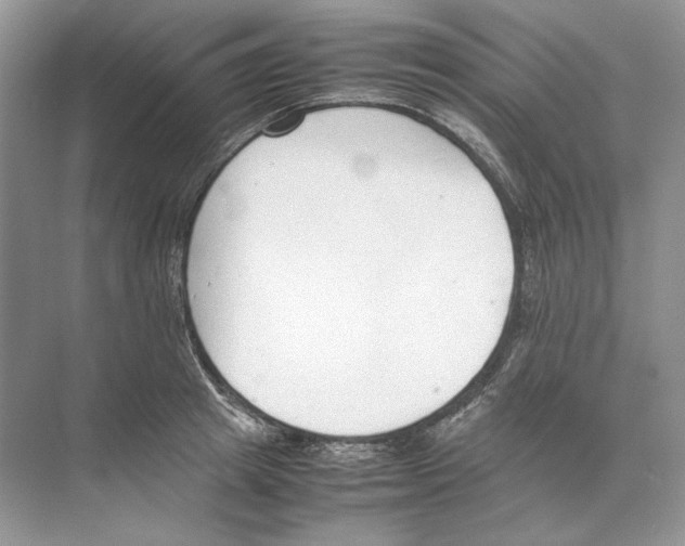 X0000074330849200609230050