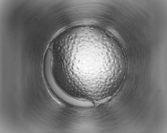 X0000074330850200609230050