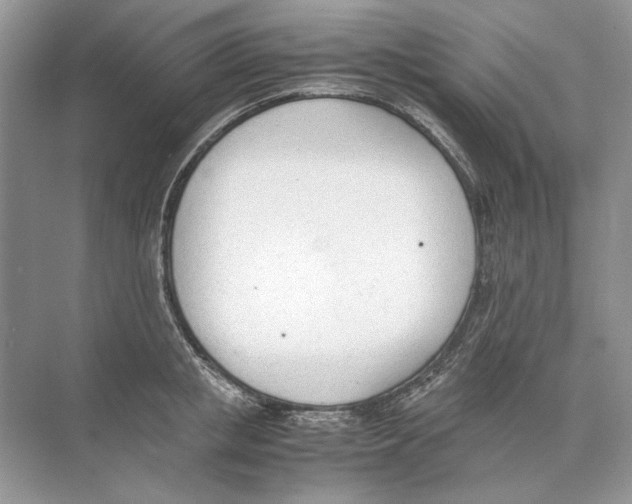 X0000074330853200609230050