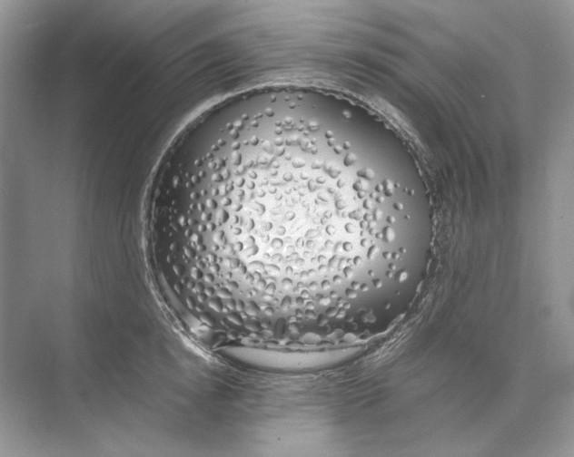 X0000074330854200609230050