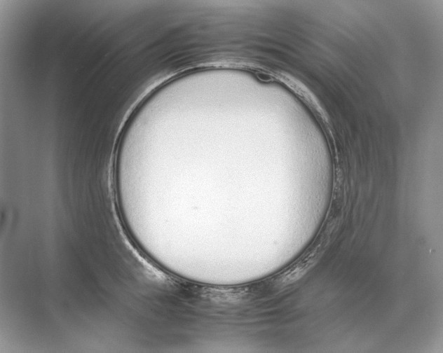 X0000074330855200609230050