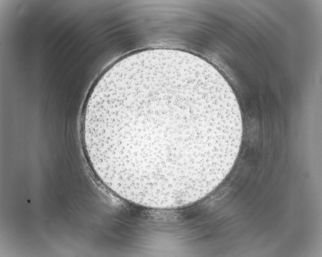 X0000074330856200609230050