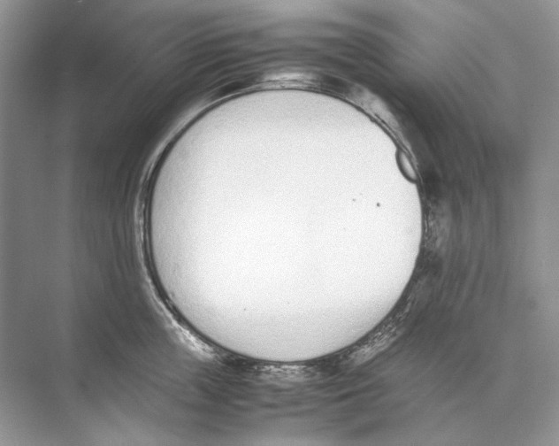 X0000074330859200609230050