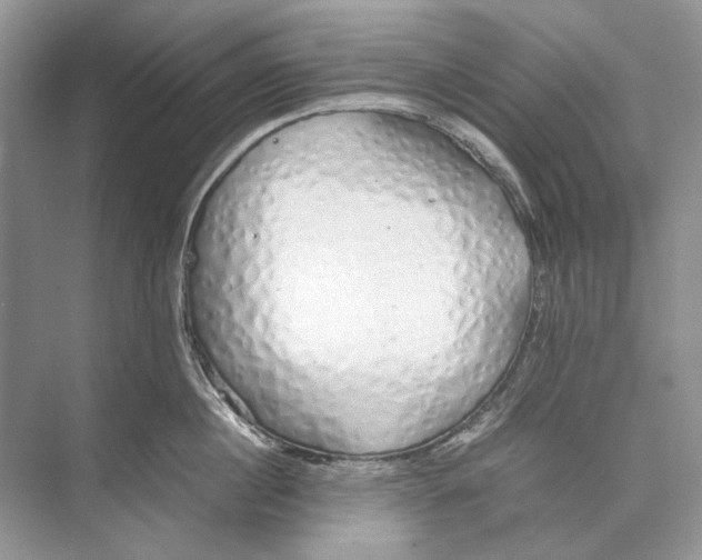 X0000074330860200609230050