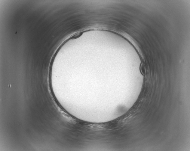 X0000074330861200609230050