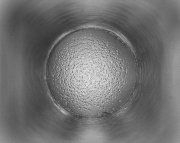 X0000074330862200609230050