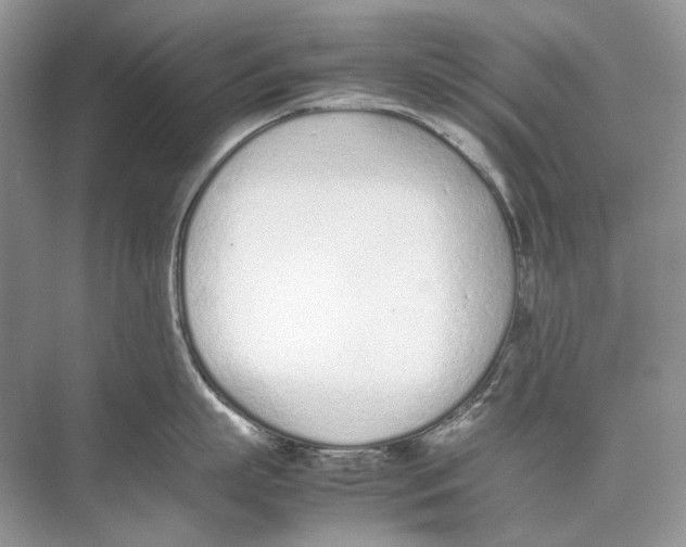 X0000074330863200609230050