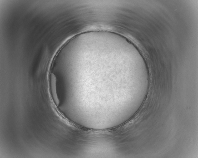 X0000074330864200609230050