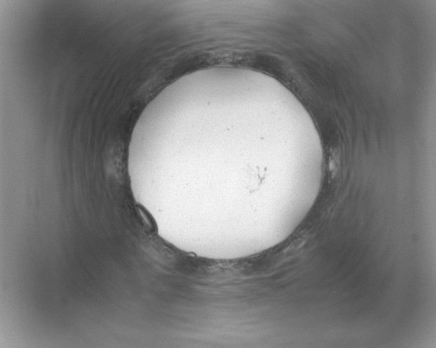 X0000074330867200609230050