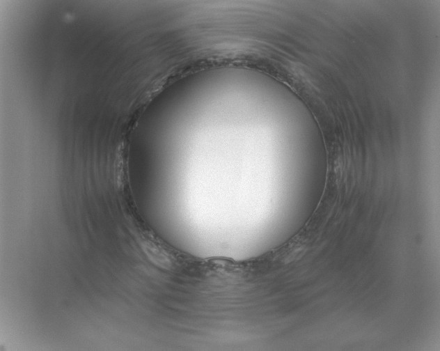 X0000074330868200609230050