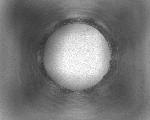 X0000074330869200609230050