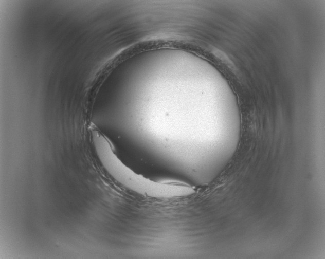 X0000074330872200609230050