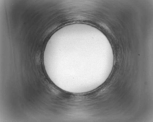 X0000074330873200609230050