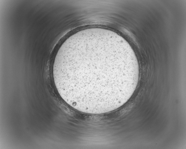 X0000074330875200609230050