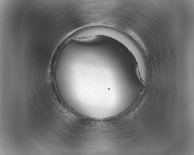 X0000074330876200609230049