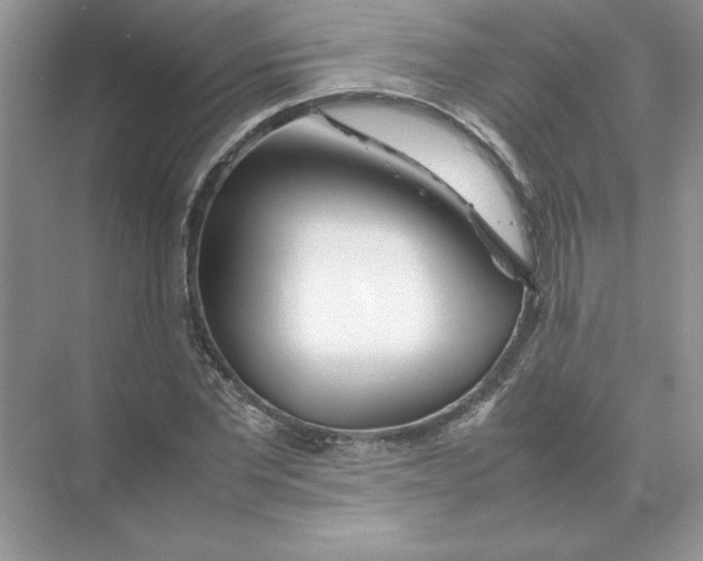 X0000074330877200609230049