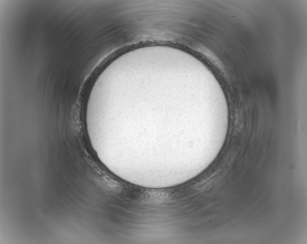 X0000074330878200609230049