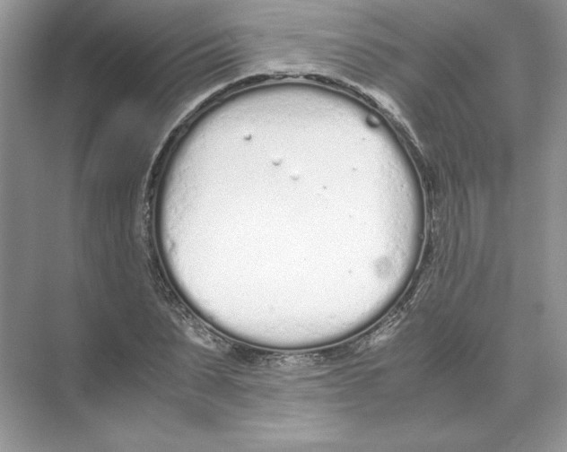 X0000074330879200609230049