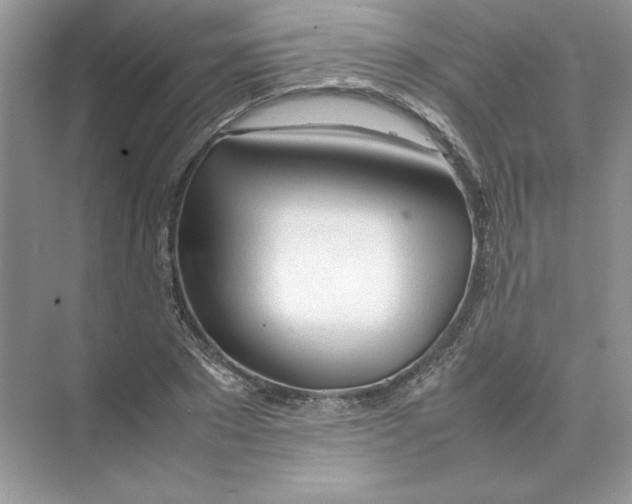 X0000074330881200609230049