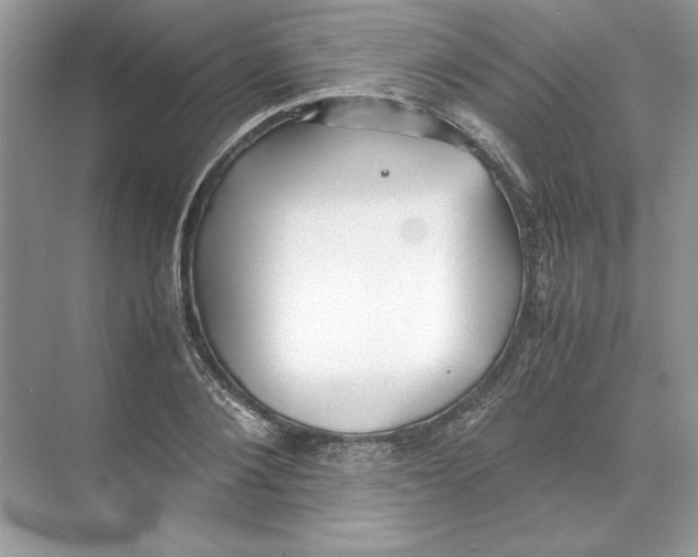 X0000074330884200609230049