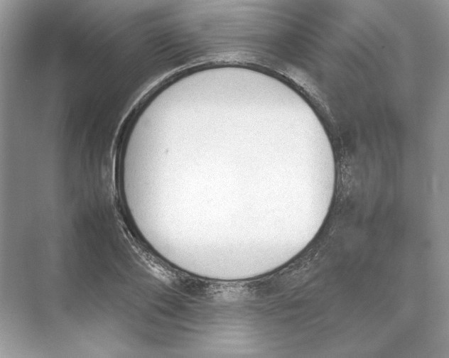 X0000074330886200609230049