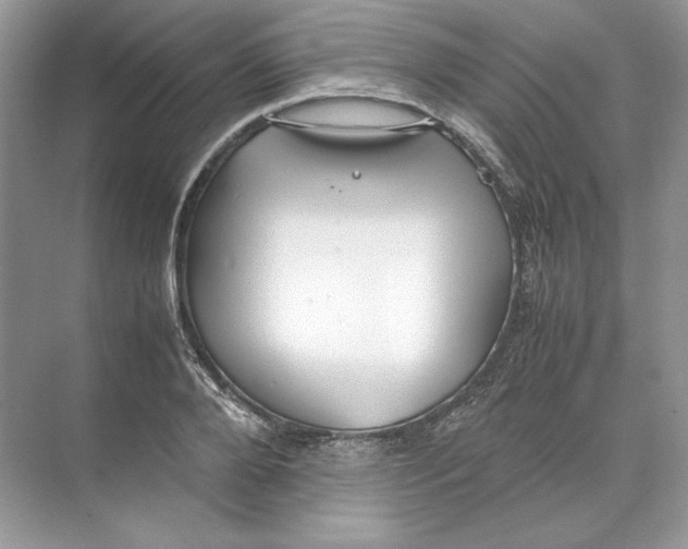 X0000074330888200609230049