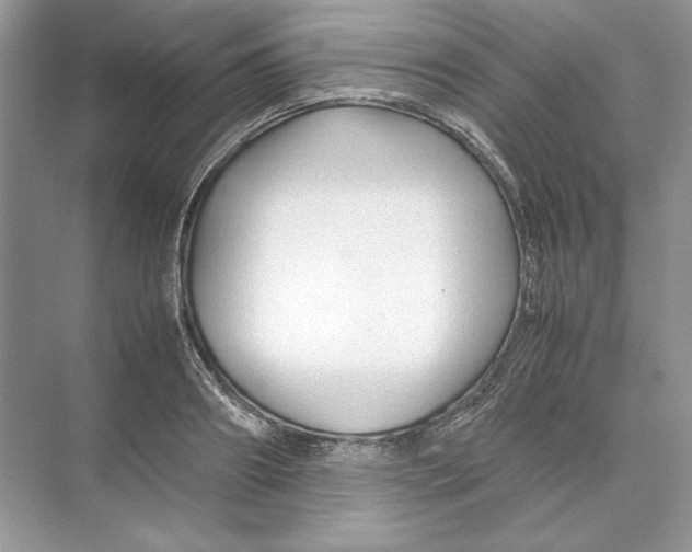 X0000074330890200609230049