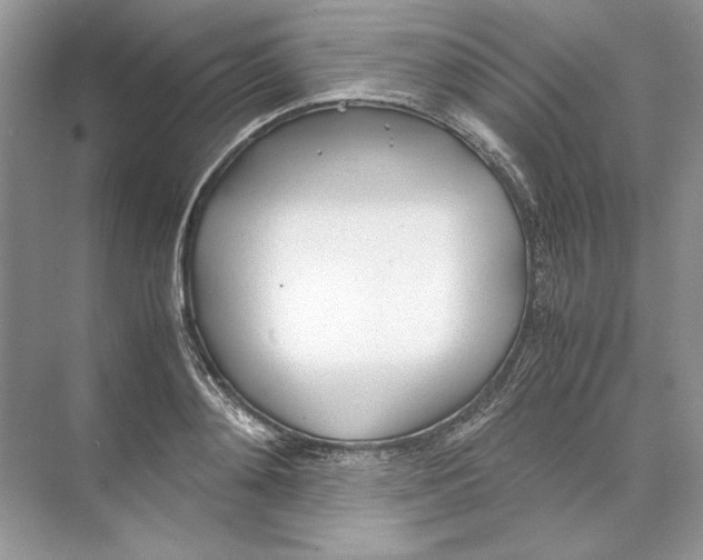 X0000074330892200609230049