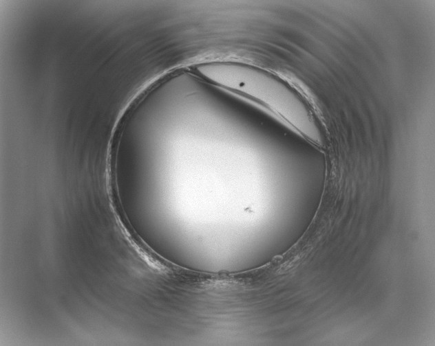 X0000074330894200609230049