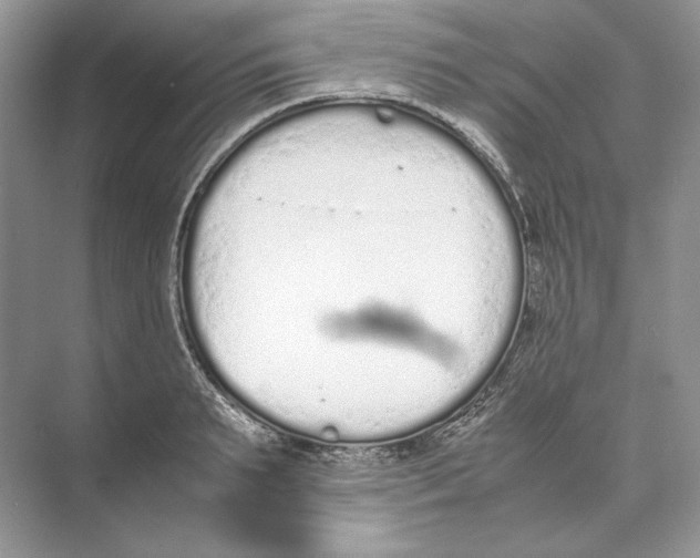 X0000074330895200609230049