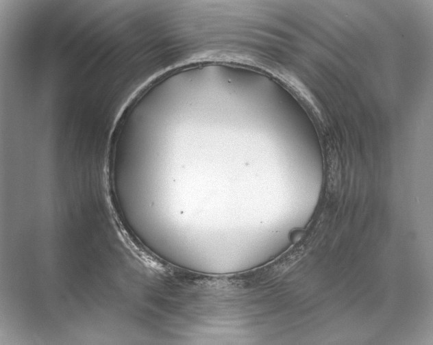 X0000074330896200609230049