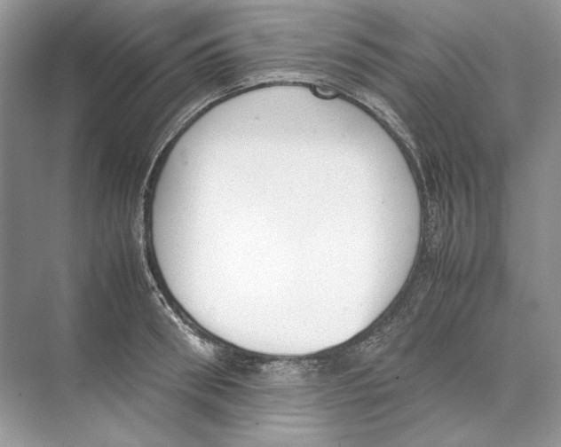 X0000074330898200609230049