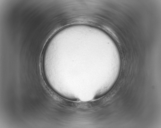 X0000074330899200609230049