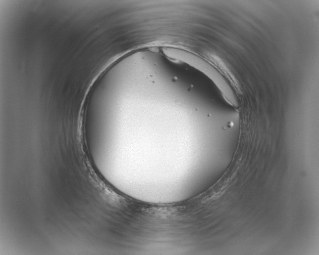 X0000074330900200609230049