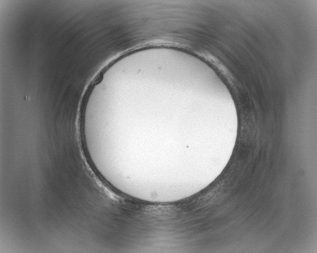 X0000074330902200609230049