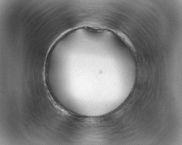 X0000074330904200609230049