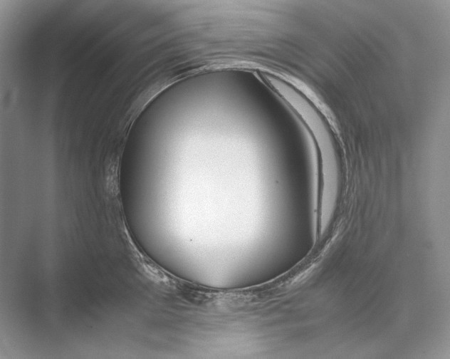 X0000074330905200609230049