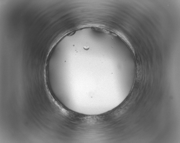 X0000074330906200609230049