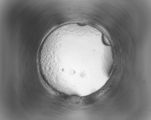 X0000074330907200609230049