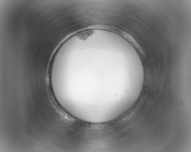 X0000074330908200609230049