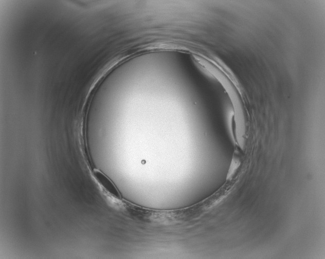 X0000074330909200609230049