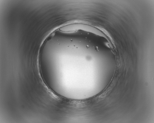 X0000074330910200609230049