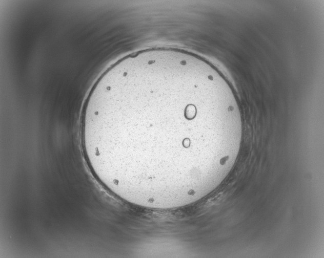 X0000074330911200609230049