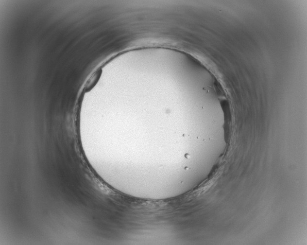 X0000074330912200609230049