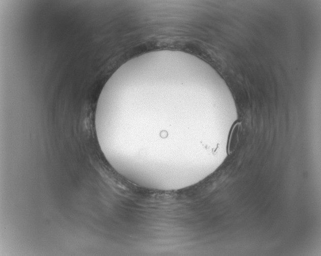 X0000074330914200609230048