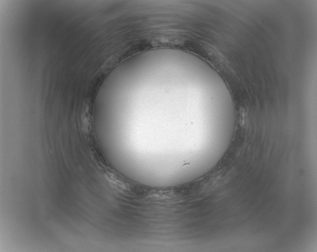 X0000074330915200609230048