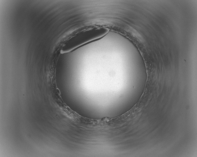 X0000074330920200609230048