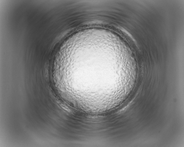 X0000074330921200609230048